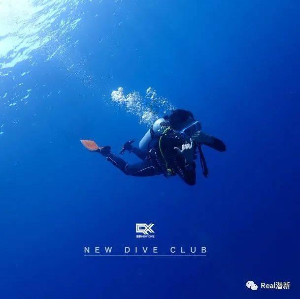 卡哇伊拳击手